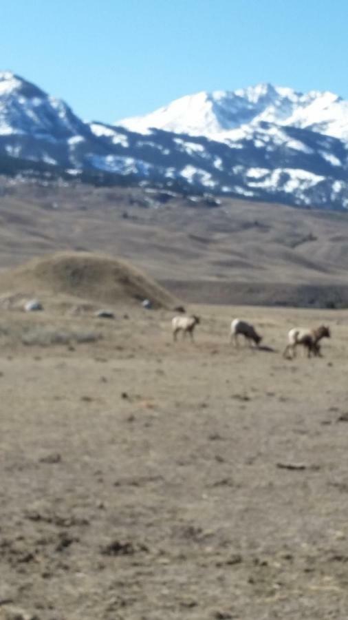 Yellowstone Condo Gardiner Kültér fotó